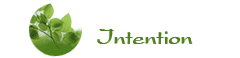 menu Intention
